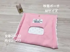 Item thumbnail for item a2602b1e-d2c4-4497-8bf8-38deb3109bef