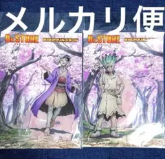 Dr.stone　BIGアクリルスタンド　アクスタ　花見　石神千空　あさぎりゲン