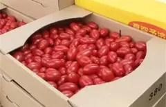 ミニトマト「シュガープラム」3kg 常温便 北海道産 - メルカリ