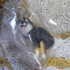 みさ様 リクエスト 3点 まとめ商品