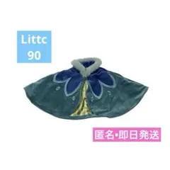 新品未使用　リトシー　Disney アナ雪　アナ　戴冠式　ケープ　なりきり　即日