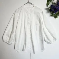 シアー/比翼仕立て✨ マーリエルカセット 長袖 ブラウス バンドカラーシャツ Sのサムネイル