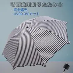 Item thumbnail for item 7c59adb4-1843-476e-a4f1-c6477dbb0d81