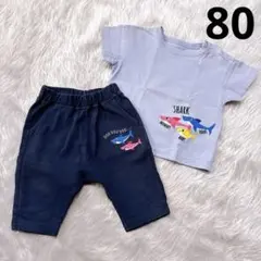ベイビーシャーク　サメデザイン Tシャツとパンツセット
