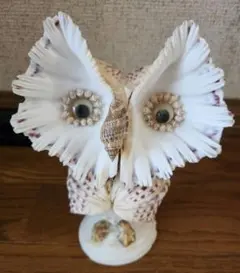 kuma879様 リクエスト 2点 まとめ商品