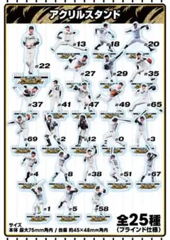 【新品】阪神タイガース　セ・リーグ優勝記念くじ　アクリルスタンド　全25種セット