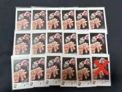 KnightA まひてる フォトカード