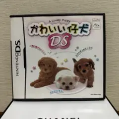 かわいい仔犬DS