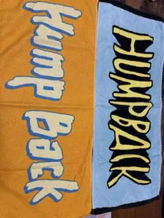 2025年最新】Hump タオルの人気アイテム - メルカリ