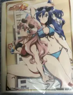 戦姫絶唱シンフォギアAXZ 翼&マリア　スリーブ 戦姫絶唱シンフォギアAXZ]描き下ろしカーテン(翼＆マリア)