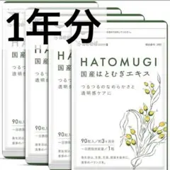 未開封】発芽の恵 発芽ハトムギ酵素 500ml × 2本 - メルカリ