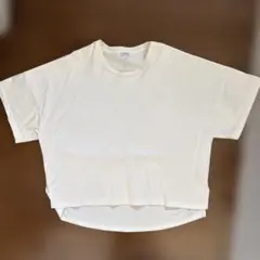 LOEWE Tシャツのサムネイル