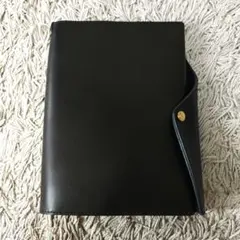 Item thumbnail for item 85552b05-68c7-4aa8-9485-940d158ba712