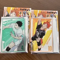 ハイキュー‼︎ ステータスカードコレクション第二弾　日向翔陽 岩泉一