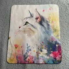 貓咪設計 眼鏡布 3片組