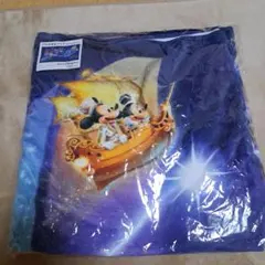 Item thumbnail for item 1b7a7e85-5642-4365-9b6f-9b0b1f9b4dfb