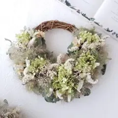 アナベルのふんわり三日月リース 紫陽花のナチュラルリース - メルカリ