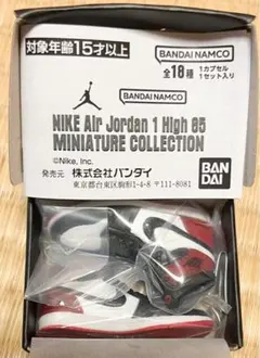 NIKE Air Jordan 1 ナイキ BLACK TOE ガチャ