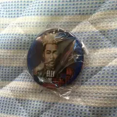 即購入OK High&Low ELLY缶バッチ