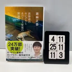 表参道のセレブ犬とカバーニャ要塞の野良犬 4-11*2511*3