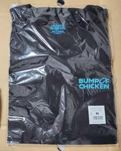 BUMP Sphery Rendezvous TシャツM