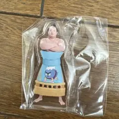 Item thumbnail for item 784f11a3-c16d-4daf-b827-cd9e9a32784d