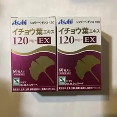 D シュワーベギンコ イチョウ葉エキス EX 120mg ×2 - メルカリ