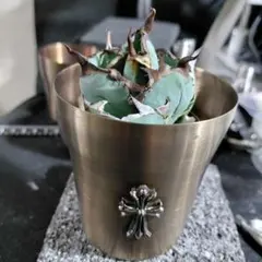 植木鉢 クロスモチーフ 鉄鉢
