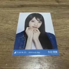 乃木坂46 矢田萌華 Luckybag2026 シャツワンピース ヨリ