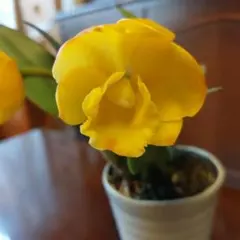 あ様 リクエスト 2点 まとめ商品