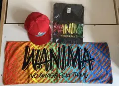 WANIMA Tシャツ、タオルとキャップセット