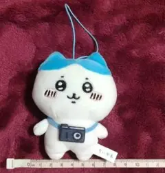 ハチワレぬいぐるみ まとめ売り 楽天市場】【送料無料】ハチワレ マスコット ぬいぐるみ まとめ