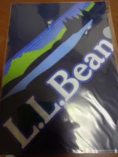 LLビーン　ファイルのサムネイル