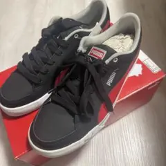 Item thumbnail for item 78f9f238-d40a-430f-9766-03c997144510