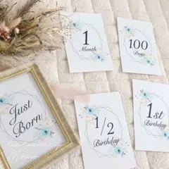 Item thumbnail for item 993e4d10-2fd4-4477-903d-4d0954fd30bd