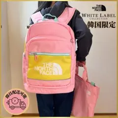 韓国限定ノースフェイス キッズ リュック バッグパック NM2DN04R