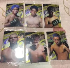 RIZIN ウエハース 6枚セット 未開封