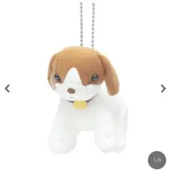 コロの大さんぽ コロ ぬいぐるみ 三鷹の森ジブリ美術館 サンアロー キーチェーン