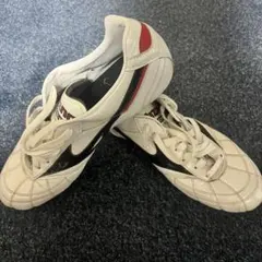 モレリア2JAPAN クロスステッチ　MIX （取り替え式）