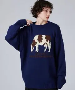 Elanque Volume Embroidrerd knit - メルカリ