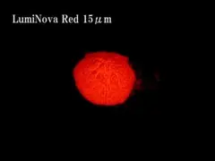 鯵虹鱒様 リクエスト 3点 まとめ商品