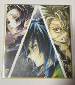冨岡義勇 胡蝶しのぶ 不死川実弥 ミニ色紙