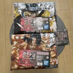 即日発送　ワンピース　カード　一番くじ　B賞　エース　サボ　セット　おまけ付き