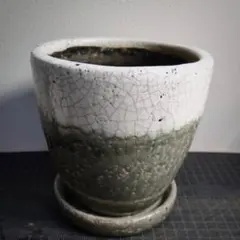 植木鉢 陶器 直径12cm