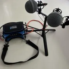 希少 極美品 FOSTEX「M80RP」プリンテッド リボンマイク 使用感なし