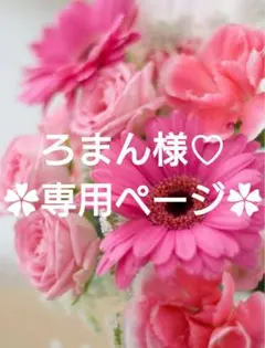 ろまん様 リクエスト 2点 まとめ商品♡