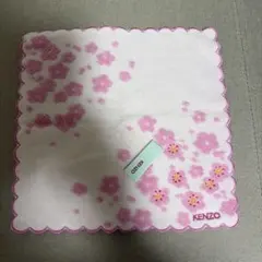 Item thumbnail for item 63a5f6bb-9672-4d9a-91d4-40ab055e158e