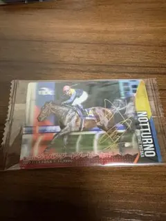 094 トウカイテイオー まねき馬倶楽部 競馬 カード - メルカリ