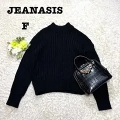 ジーナシス　ハイネックニット　ブラック　シンプル　ショート丈　カジュアル　フリー