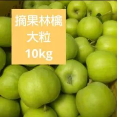 摘果林檎 大粒 ジョナゴールド 加工用 10kg 送料込みのサムネイル